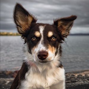 Meet your Posher, Natalya